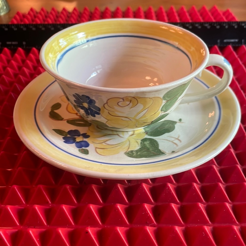 HAND PAINTED ANTIQUE RED WING FLORAL TEACUP AND SAUCER